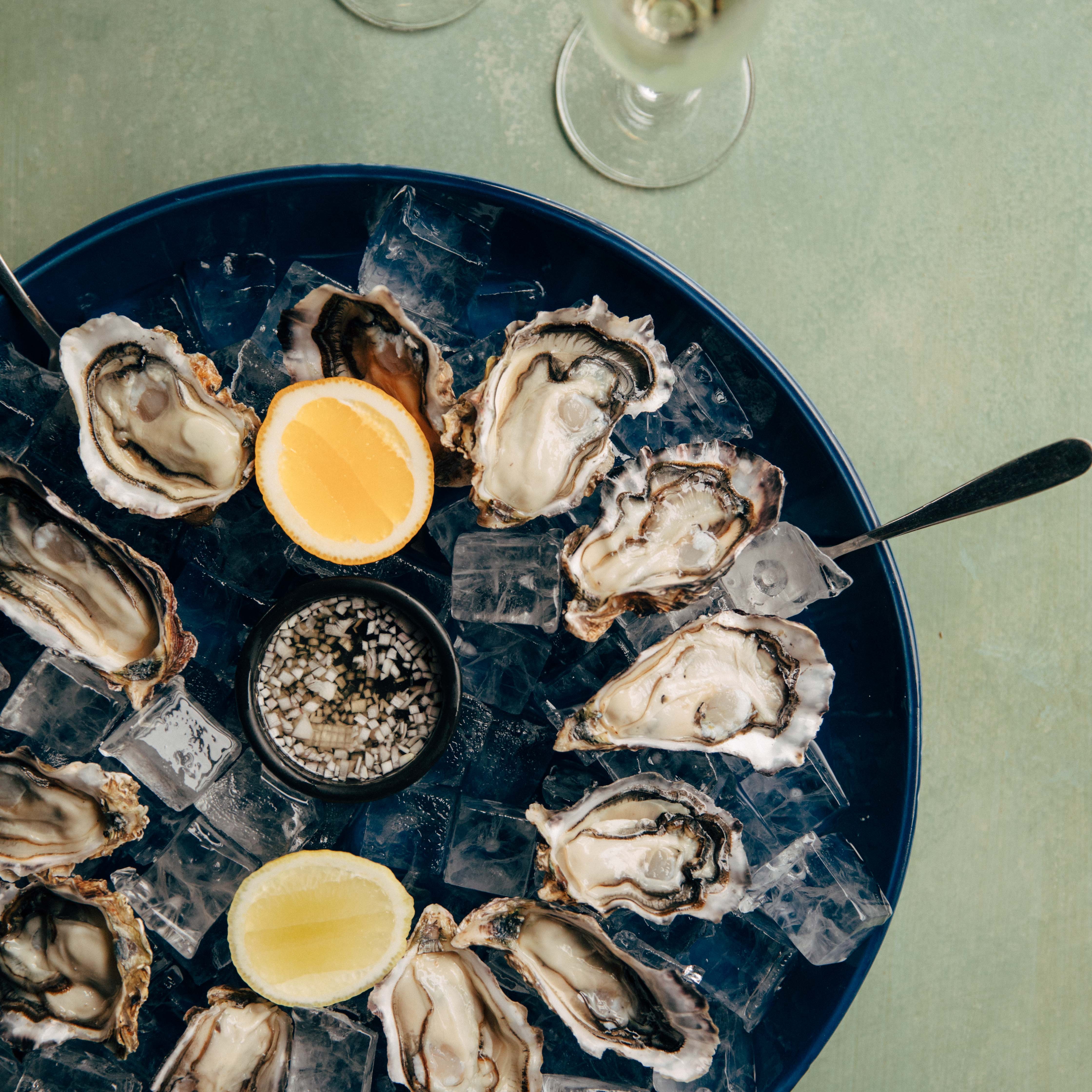 Oysters